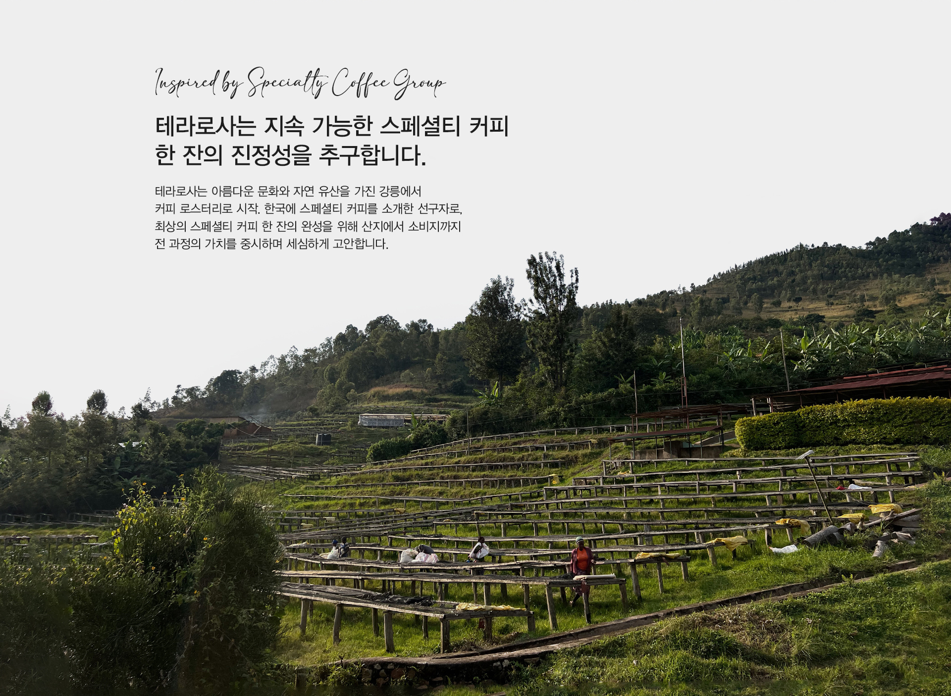 Inspired by Specialty Coffee group. 테라로사는 지속 가능한 스페셜티 커피 한 잔의 진정성을 추구합니다. 테라로사는 아름다운 문화와 자연 유산을 가진 강릉에서 커피 로스터리 로 시작. 한국에 스페셜티 커피를 소개한 선구자로, 최상의 스페셜티 커피 한 잔의 완성을 위해 산지에서 소비지까지 전 과정의 가치를 중시하며 세심하게 고안합니다.